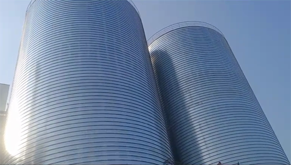 墨江2座混凝土高架卷板仓